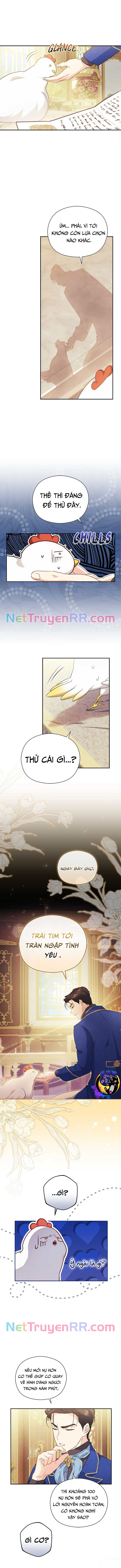 Công Chúa Trong Chuồng Gà Chương 7 Ảnh 8
