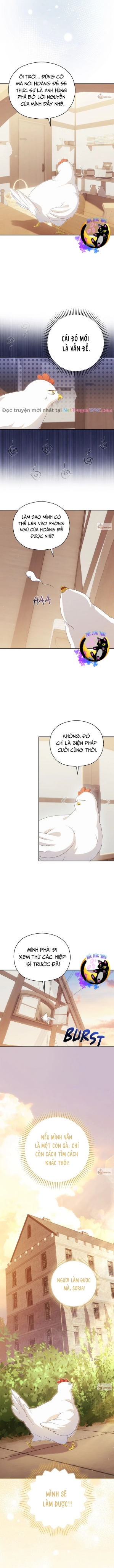 Công Chúa Trong Chuồng Gà Chương 4 Ảnh 5