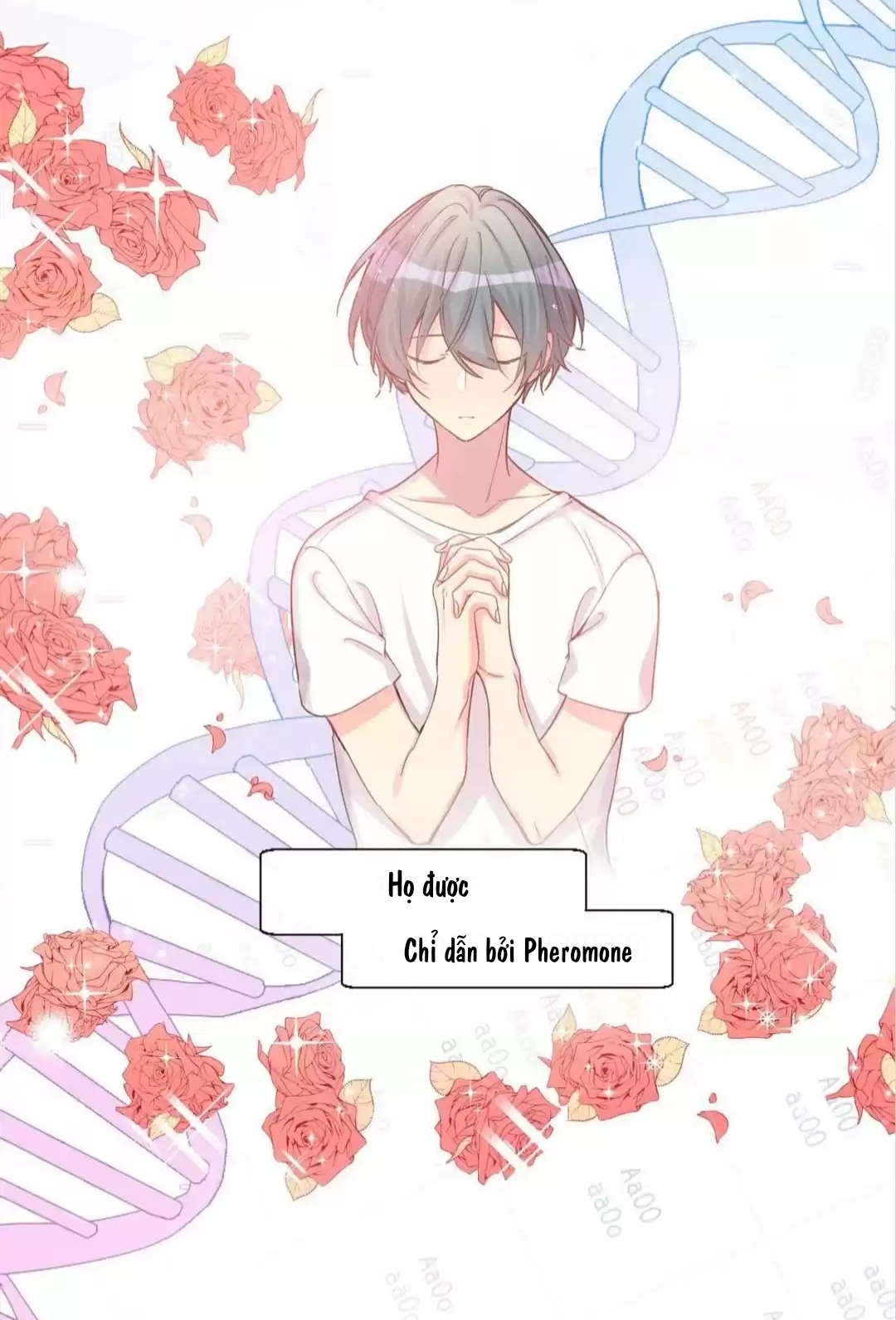 Chocolate Có Hại Cho Chó Chương 1 Ảnh 4