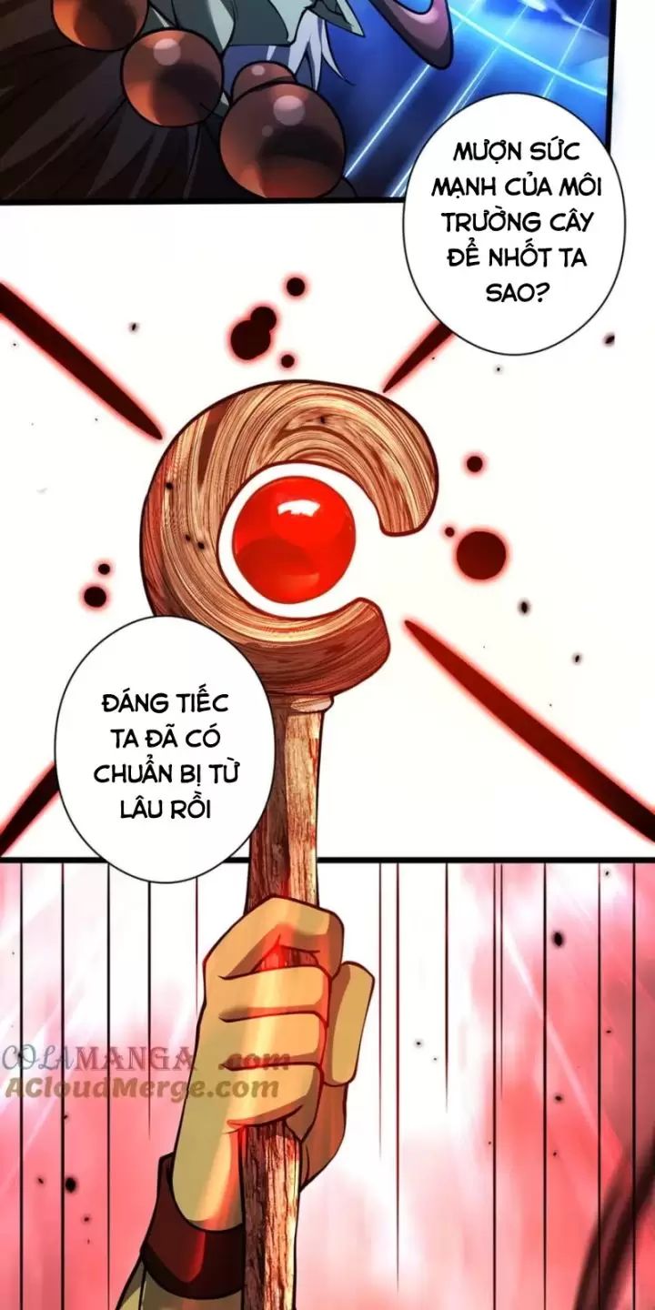 Ta, Chúa Tể Rừng Xanh Chương 28 Ảnh 21