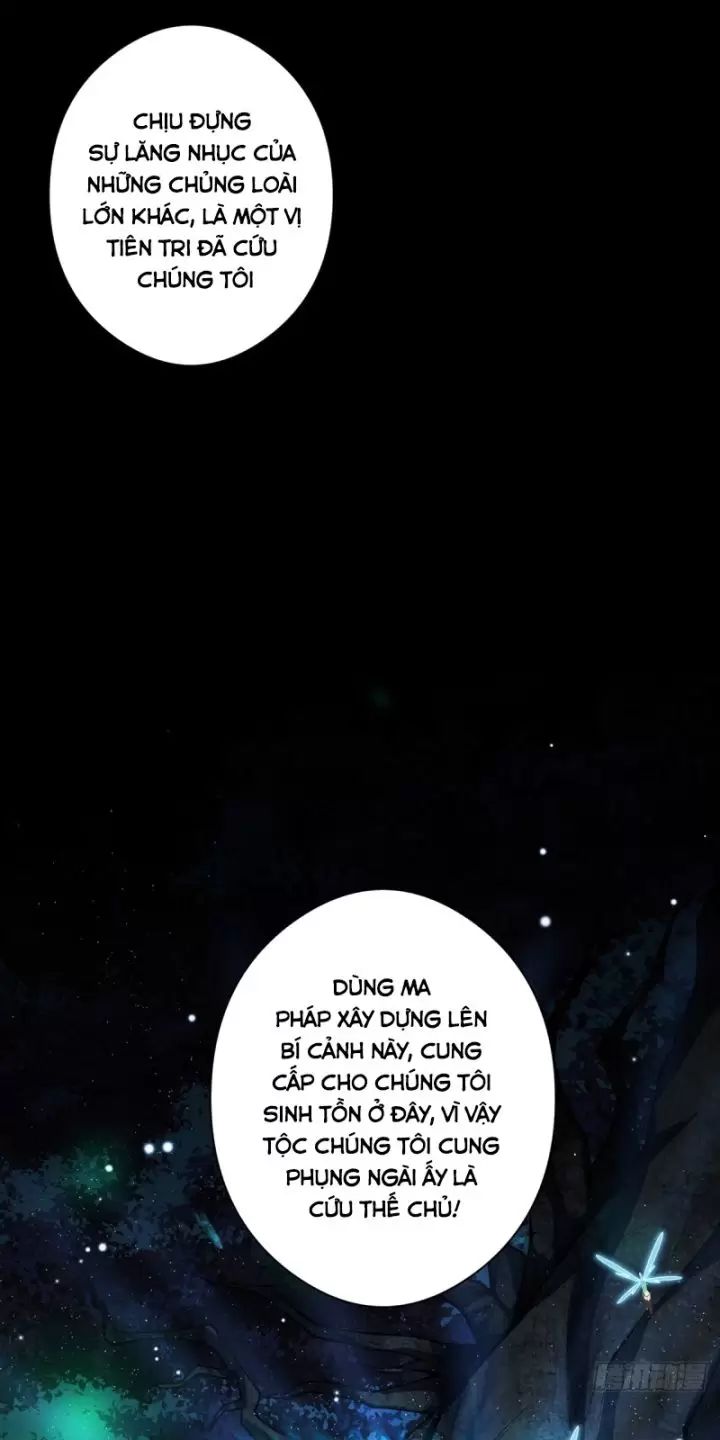 Ta, Chúa Tể Rừng Xanh Chương 17 Ảnh 45