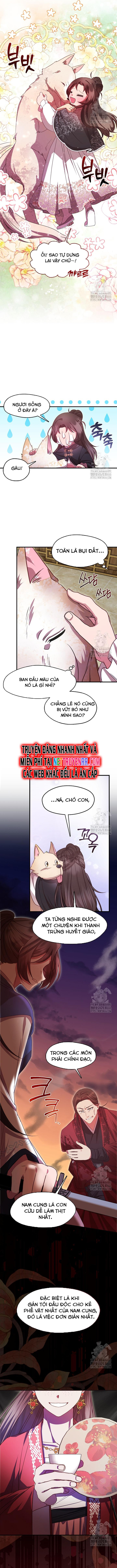 Con Gái Út Của Thiên Hạ Đệ Nhất Nam Cung Thế Gia Chương 27 Ảnh 3