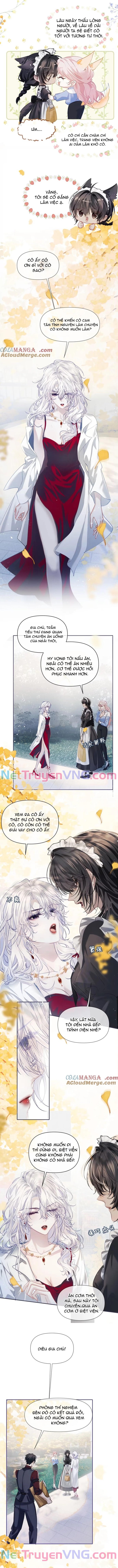 Thiết Lập Yêu Cầu Tôi Phải Yêu Ngài Chương 10 Ảnh 7