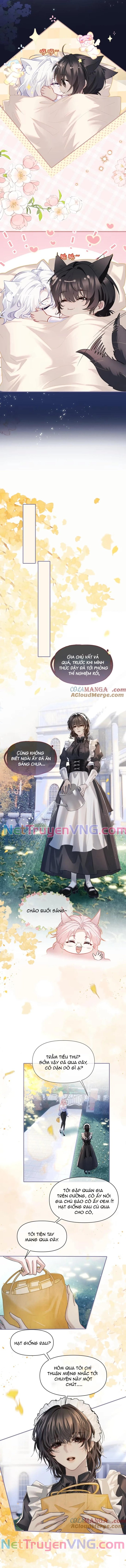 Thiết Lập Yêu Cầu Tôi Phải Yêu Ngài Chương 10 Ảnh 5