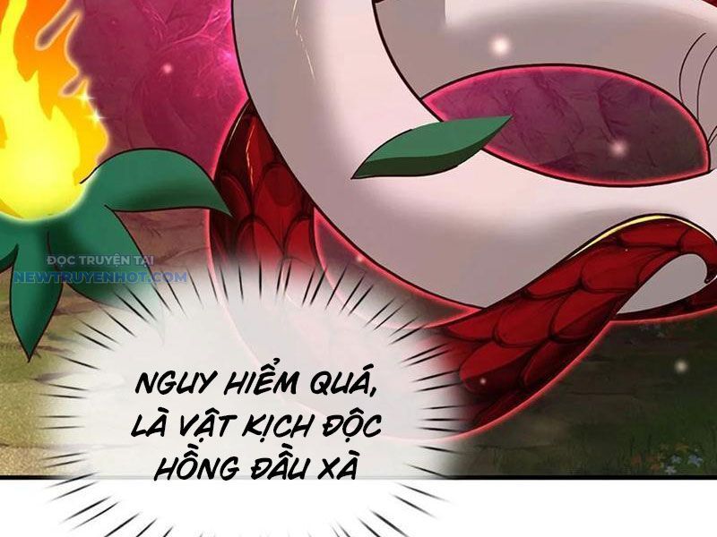 Khắc Đan Tu Tiên Chỉ Cẩu Trường Sinh Chương 62 Ảnh 37