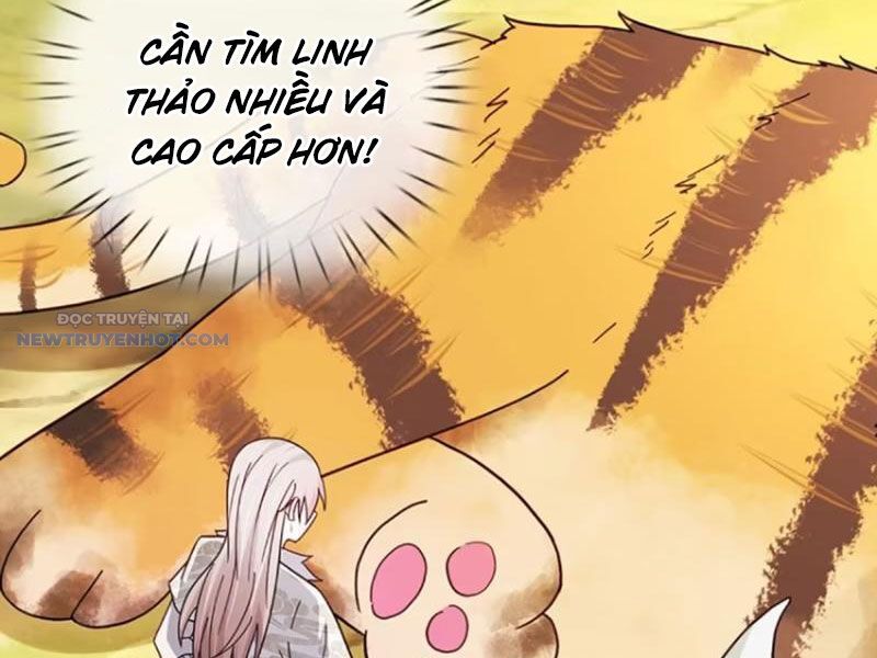 Khắc Đan Tu Tiên Chỉ Cẩu Trường Sinh Chương 71 Ảnh 19