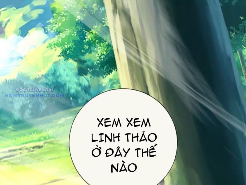 Khắc Đan Tu Tiên Chỉ Cẩu Trường Sinh Chương 68 Ảnh 26