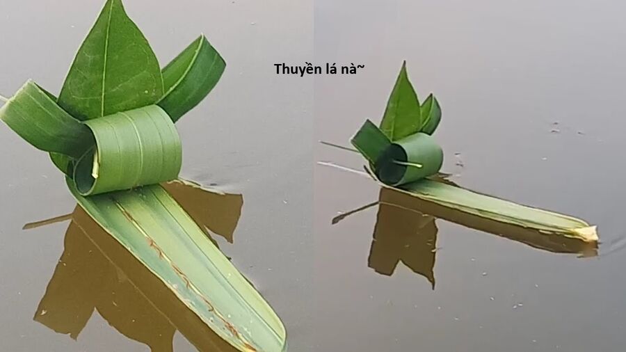 Hổ Đến Chơi Nhà (Puchimasu Miếu) Chương 135 Ảnh 73