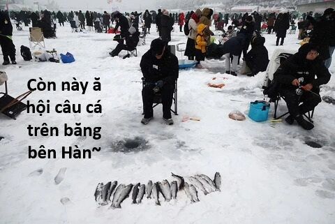 Hổ Đến Chơi Nhà (Puchimasu Miếu) Chương 135 Ảnh 70