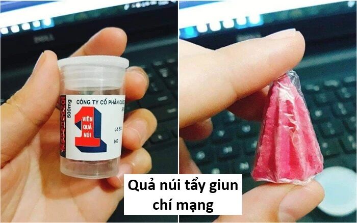 Hổ Đến Chơi Nhà (Puchimasu Miếu) Chương 136 Ảnh 50