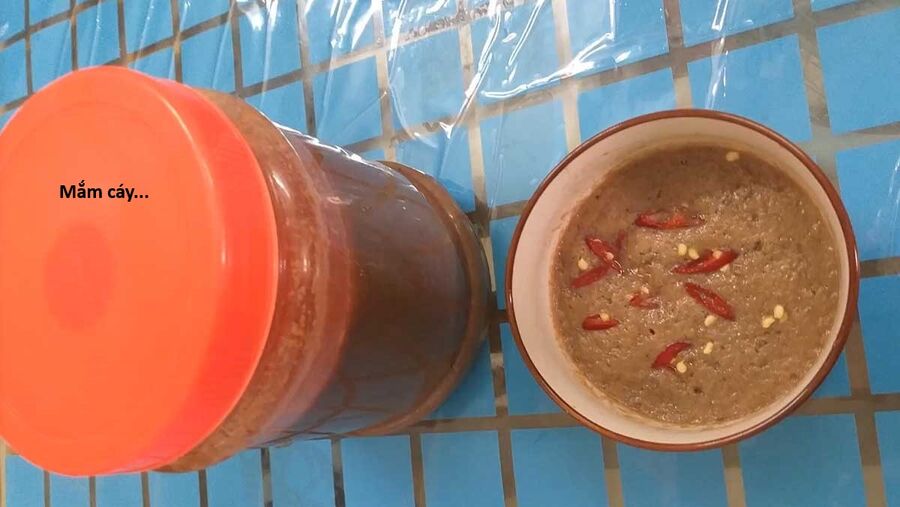 Hổ Đến Chơi Nhà (Puchimasu Miếu) Chương 138 Ảnh 102