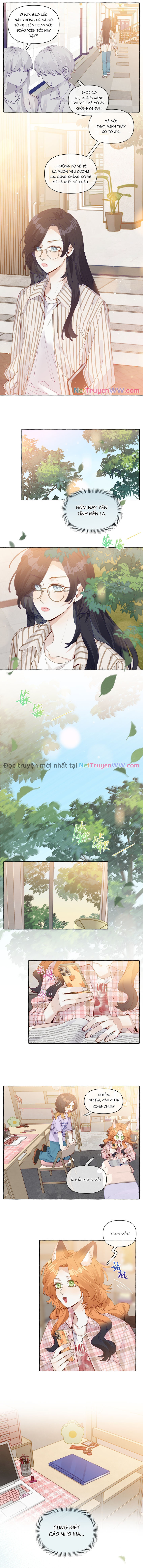 Những Lời Nói Dối Của Hồ Ly Chương 11 Ảnh 6
