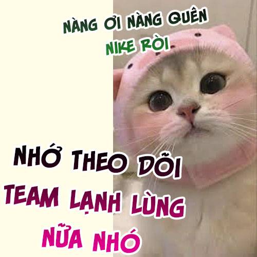 Quấn Quýt Chương 10 Ảnh 7
