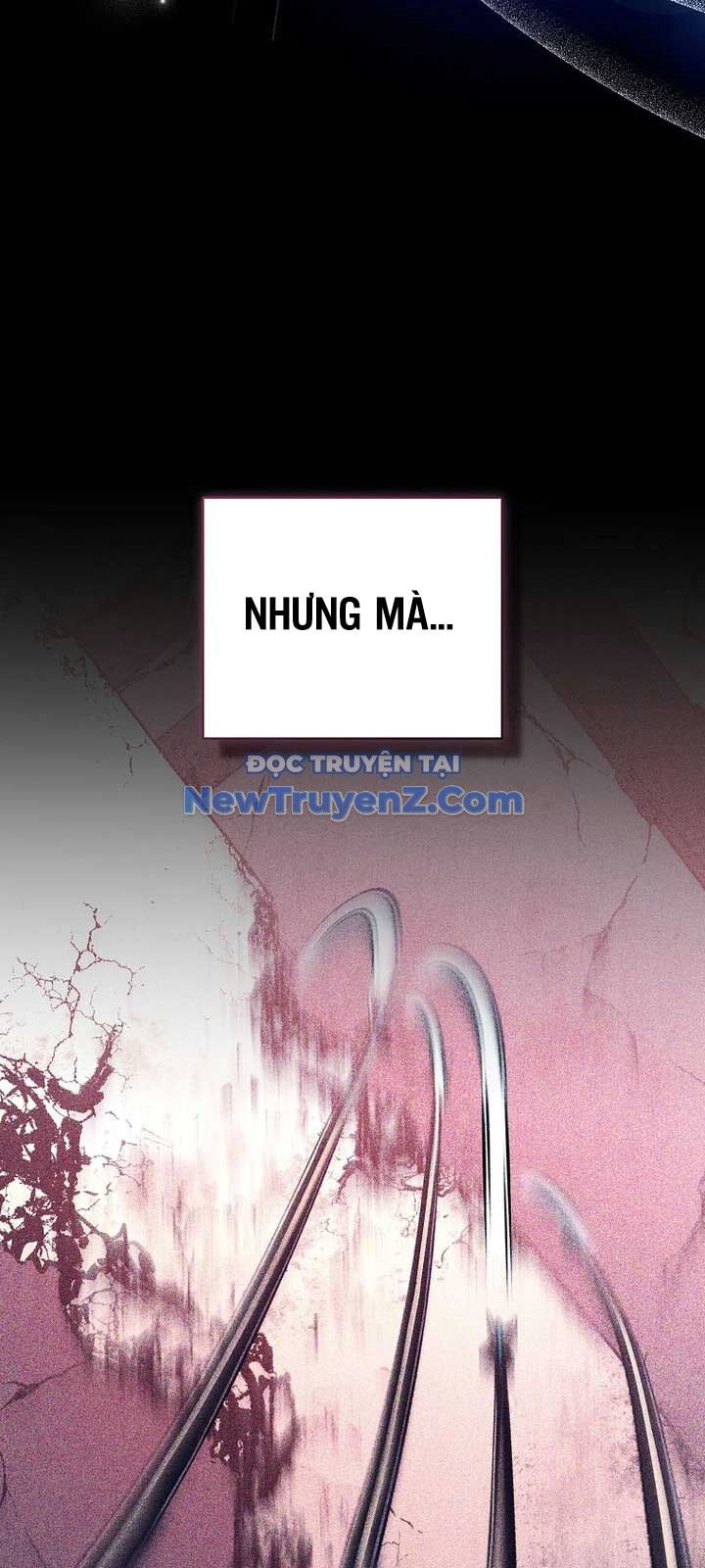 Stream Của Cung Thủ Thiên Tài Chương 63 Ảnh 47