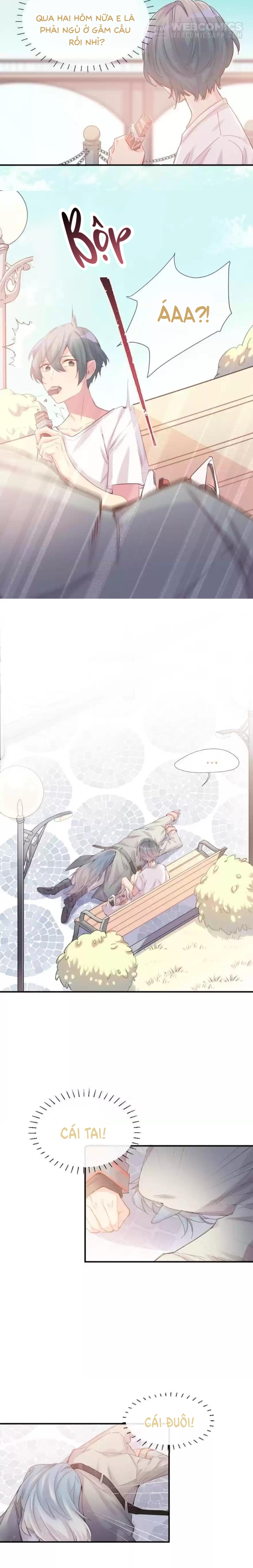 Chocolate Có Hại Cho Chó Chương 2 Ảnh 5