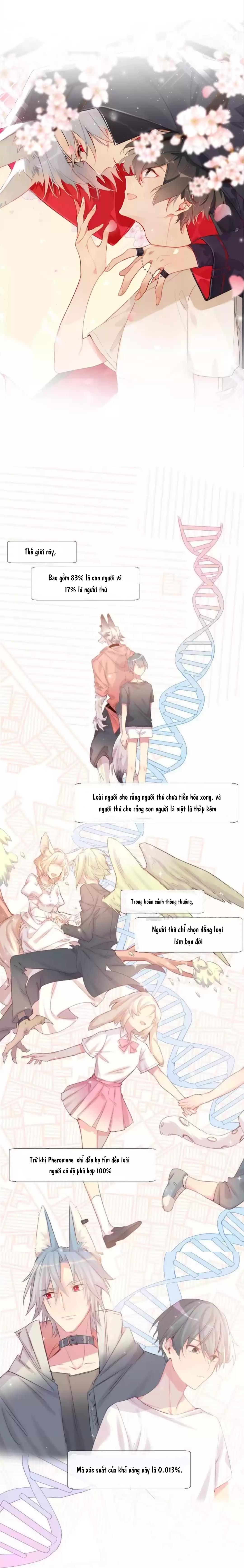 Chocolate Có Hại Cho Chó Chương 2 Ảnh 2