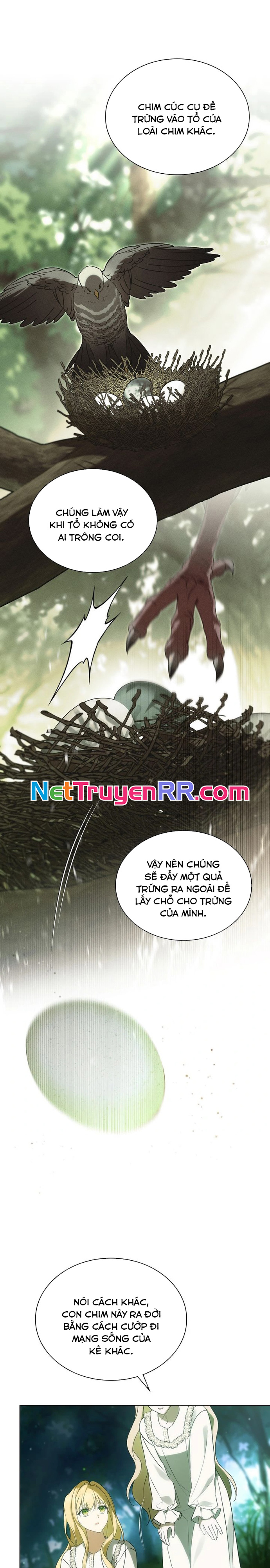 Lời Hứa Đó Không Phải Là Tôi Chương 33 Ảnh 11