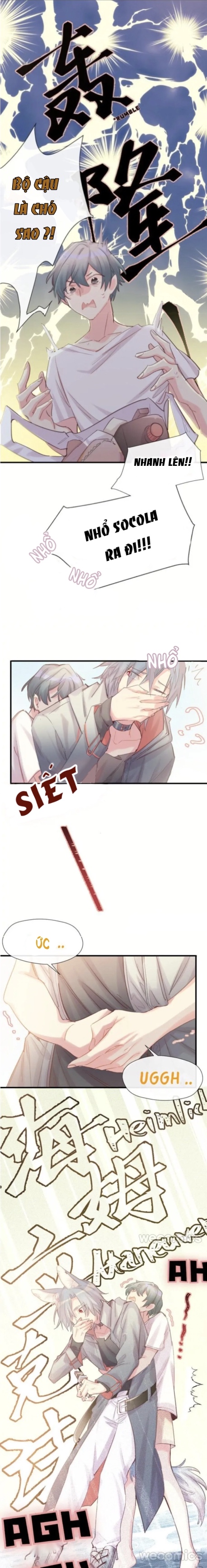 Chocolate Có Hại Cho Chó Chương 3 Ảnh 2