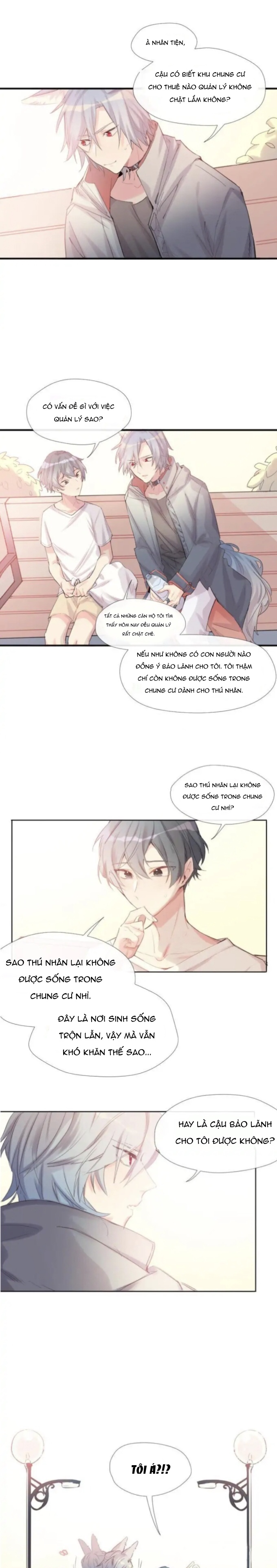 Chocolate Có Hại Cho Chó Chương 3 Ảnh 4