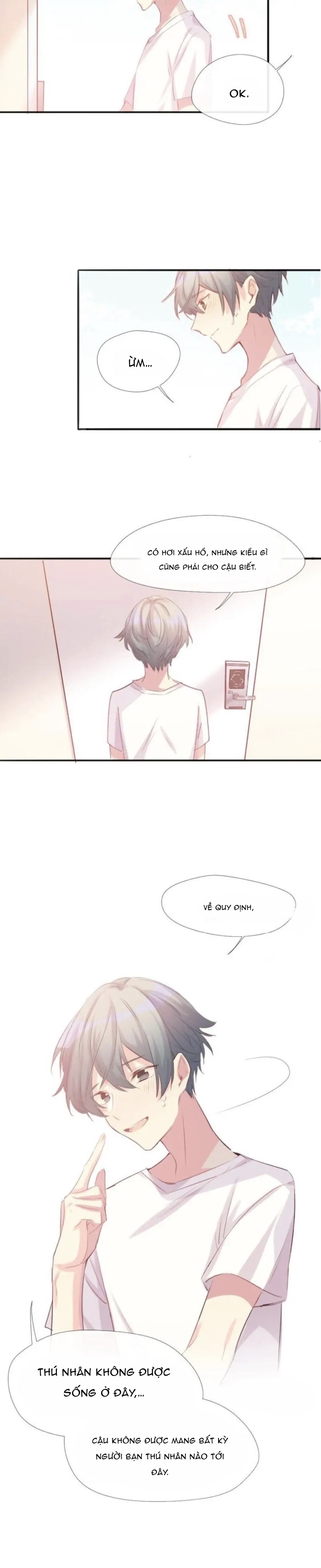 Chocolate Có Hại Cho Chó Chương 3 Ảnh 9