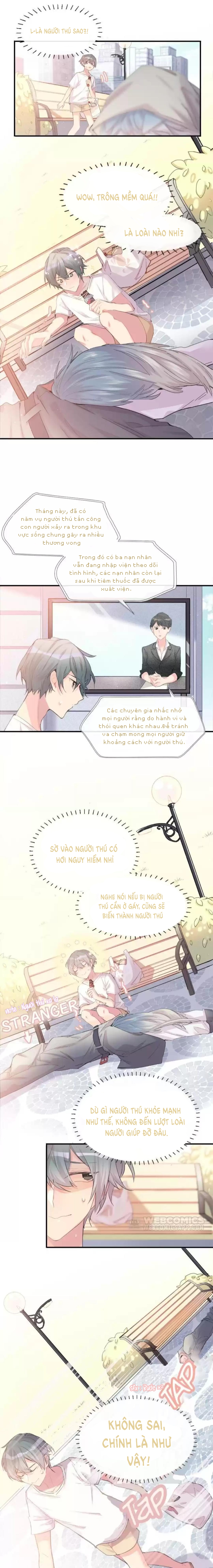 Chocolate Có Hại Cho Chó Chương 2 Ảnh 6