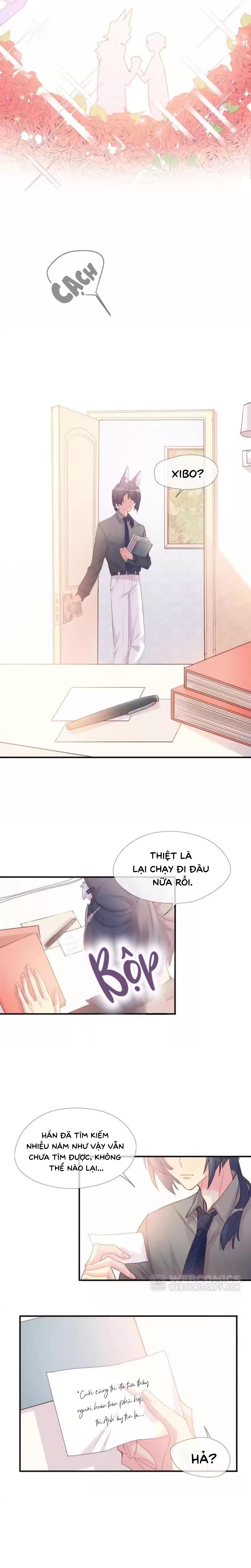 Chocolate Có Hại Cho Chó Chương 2 Ảnh 3