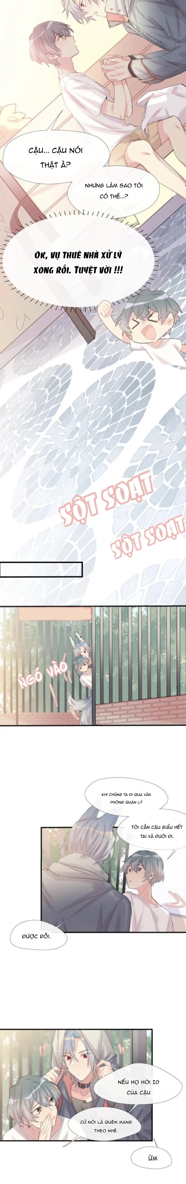 Chocolate Có Hại Cho Chó Chương 3 Ảnh 6