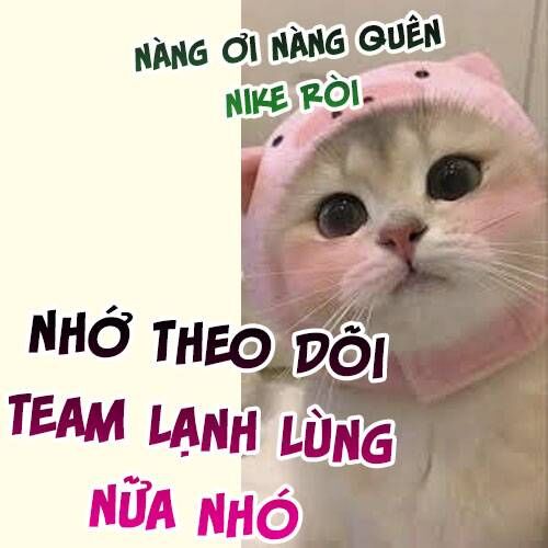 Quấn Quýt Chương 12 Ảnh 7