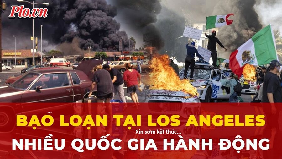 Hổ Đến Chơi Nhà (Puchimasu Miếu) Chương 144 Ảnh 79