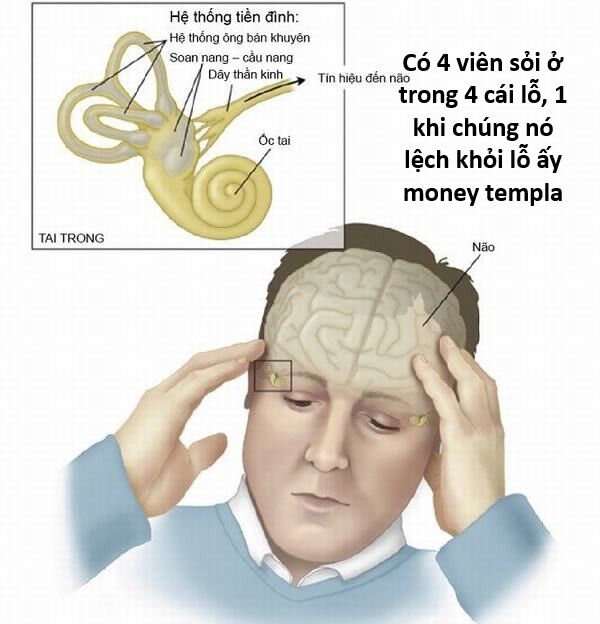 Hổ Đến Chơi Nhà (Puchimasu Miếu) Chương 144 Ảnh 75