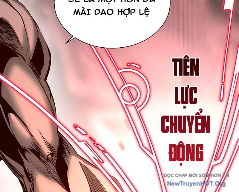 Đỉnh Cấp Khí Vận, Lặng Lẽ Tu Luyện Ngàn Năm Chương 263 Ảnh 96