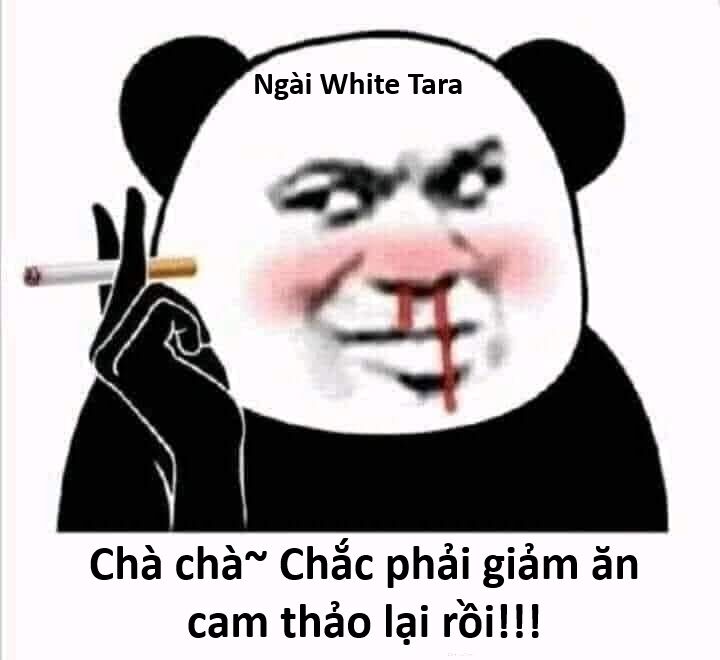 Hổ Đến Chơi Nhà (Puchimasu Miếu) Chương 143 Ảnh 49
