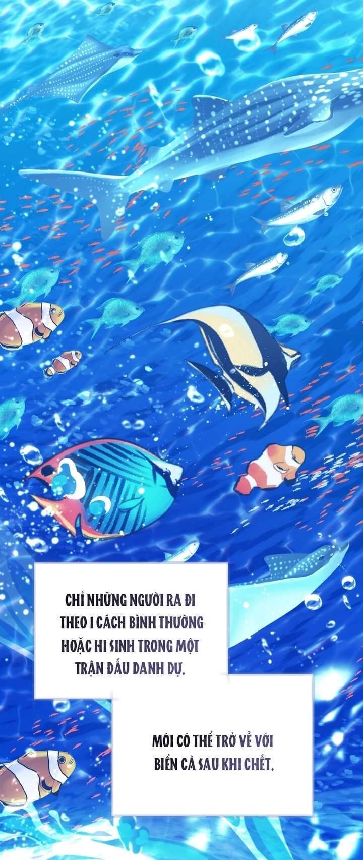 Bé Con Cá Voi Sát Thủ Chương 61 Ảnh 35