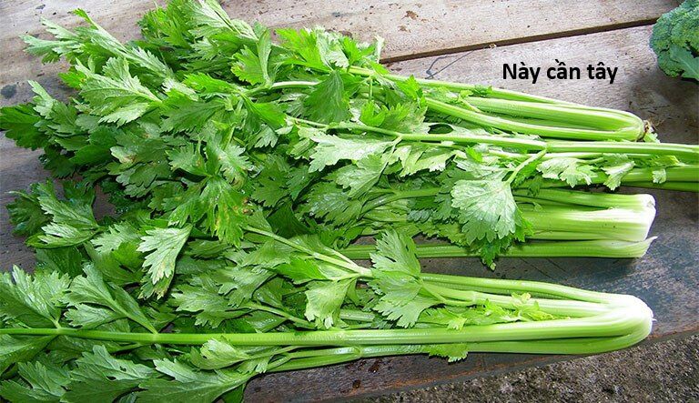Hổ Đến Chơi Nhà (Puchimasu Miếu) Chương 145 Ảnh 33