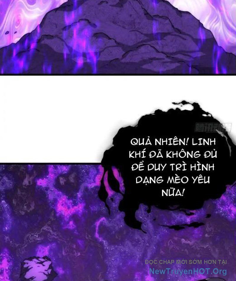 Ta Dựa Vào Tu Tiên Xưng Bá Mạt Thế Chương 14 Ảnh 10