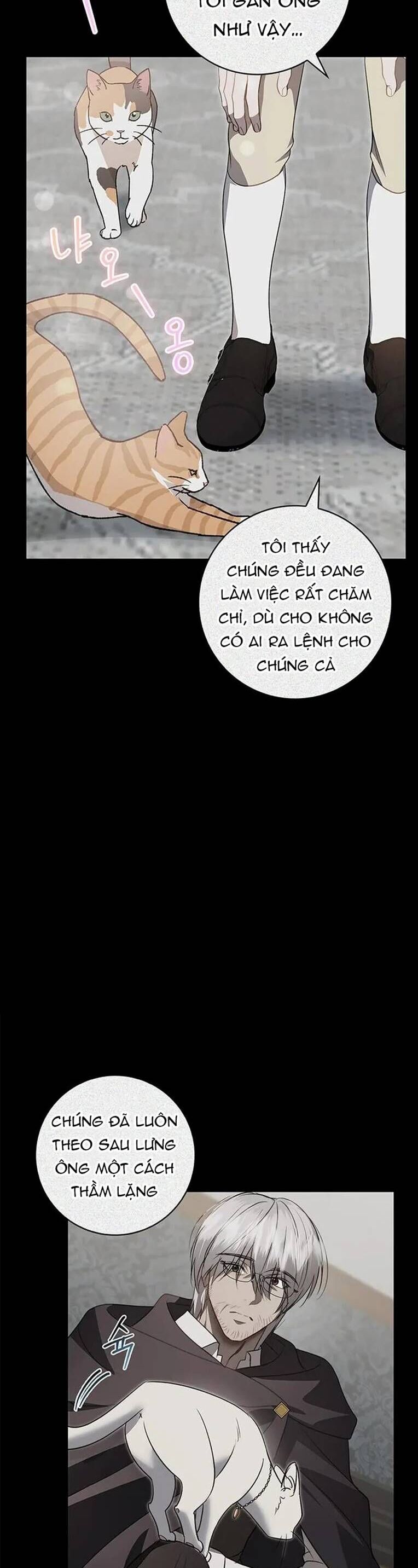 Kế Hoạch Tiễn Chồng Xuống Vực Thẳm Chương 12 Ảnh 35