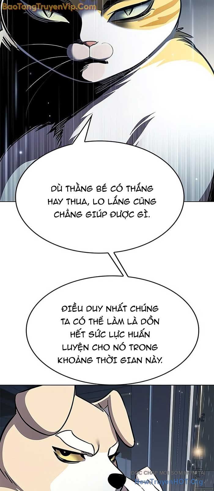 Biến Thân Thành Mèo Chương 357 Ảnh 10