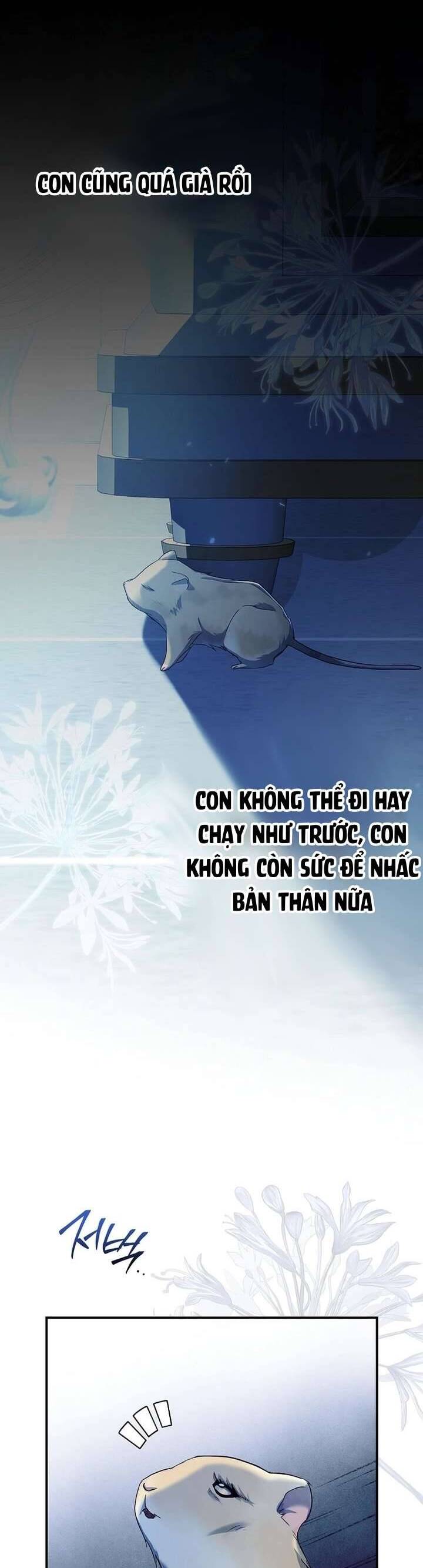 Chuột Đồng Này Sẽ Đưa Lọ Lem Đi Chương 1 Ảnh 15