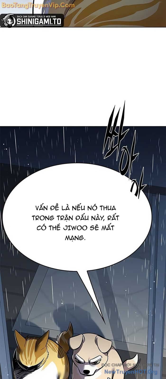 Biến Thân Thành Mèo Chương 357 Ảnh 7