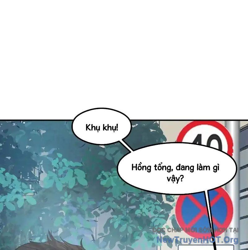 Ta Không Muốn Trùng Sinh Đâu Chương 436 Ảnh 37