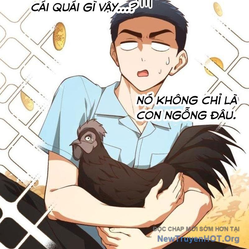 Thiên Tài Bình Dị Chương 31 Ảnh 70