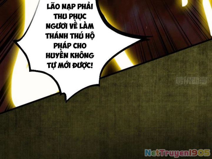 Gặp Mạnh Thì Càng Mạnh, Tu Vi Của Ta Không Giới Hạn Chương 60 Ảnh 48