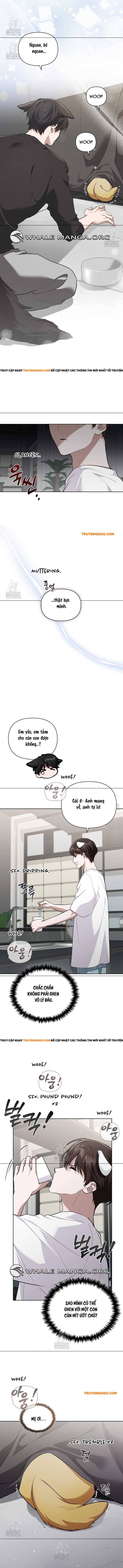 Đừng Đùa Với Cún Con Chương 46 Ảnh 12