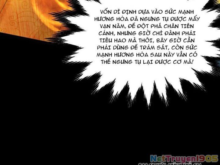 Gặp Mạnh Thì Càng Mạnh, Tu Vi Của Ta Không Giới Hạn Chương 60 Ảnh 18