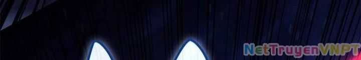 Solo Leveling Arise: Nguồn Gốc Của Thợ Săn Chương 16 Ảnh 25