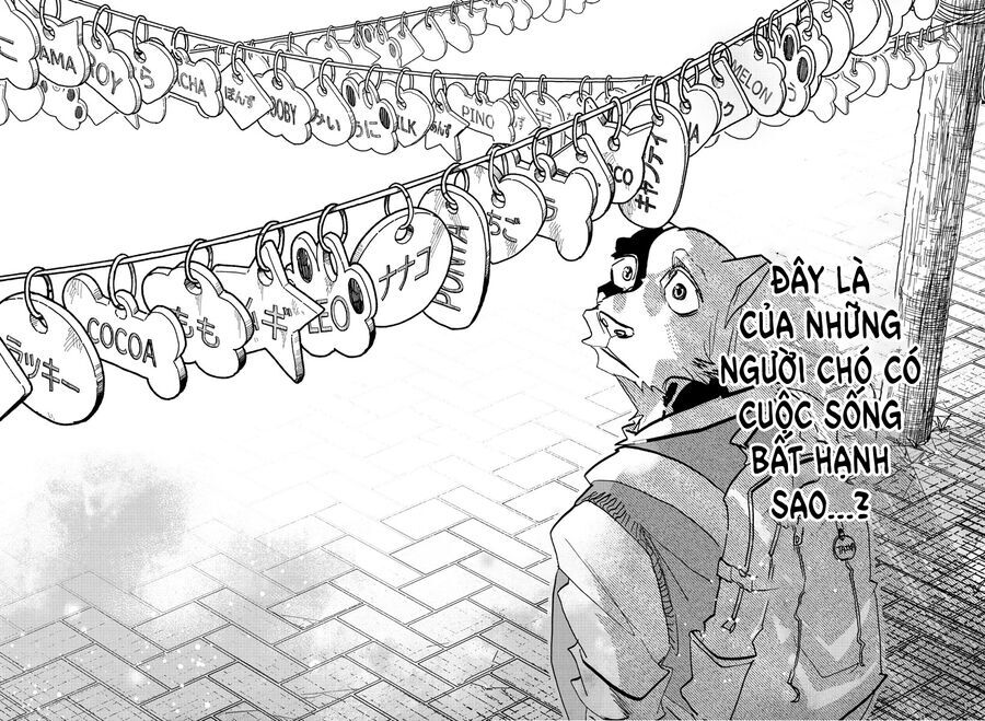 Lý Trí Của Taika Chương 24 Ảnh 18
