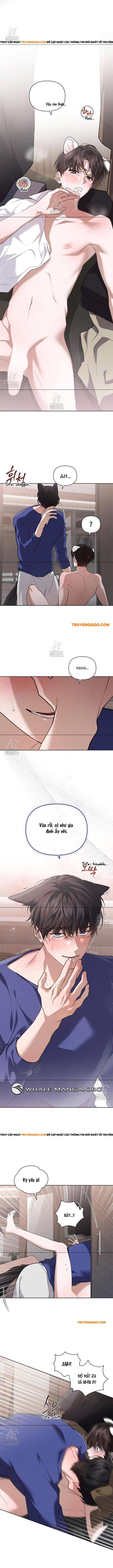 Đừng Đùa Với Cún Con Chương 47 Ảnh 7
