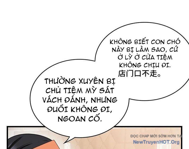 Hóa Ra Ta Là Đời Sau Của Yêu Quái Chương 21 Ảnh 15