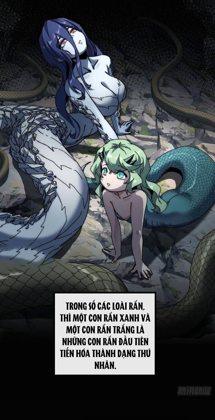 Xưng Bá Phế Thổ: Ta Ở Mạt Thế Chấp Chưởng Tiên Môn Chương 11 Ảnh 17