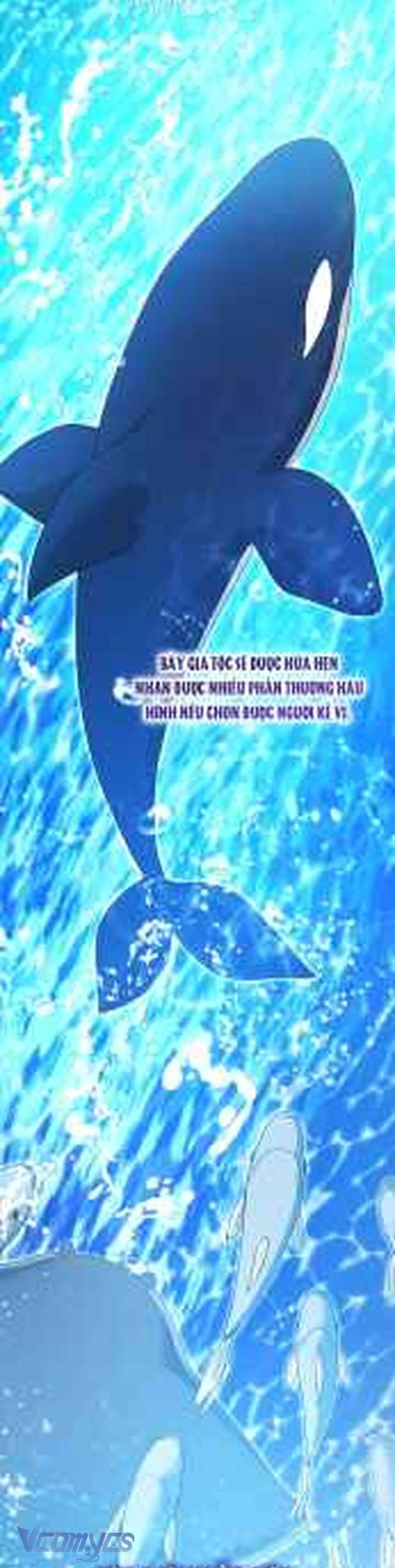 Bé Con Cá Voi Sát Thủ Chương 62 Ảnh 38